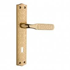 Tarik Zinc Backplate Door Handle